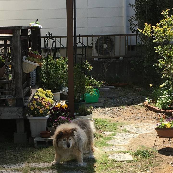 4bbb2081 8499 4a80 a577 1c309cd3d600 1570500076042