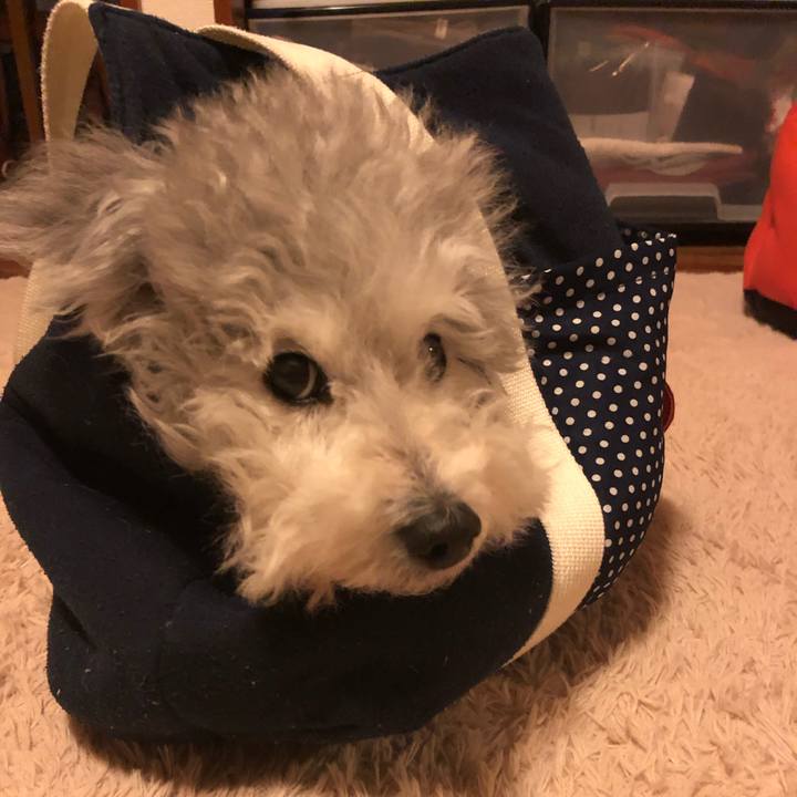 4bbb261c f8d0 4cc8 bbfb 4c08cf7aa7d7 1553164212294