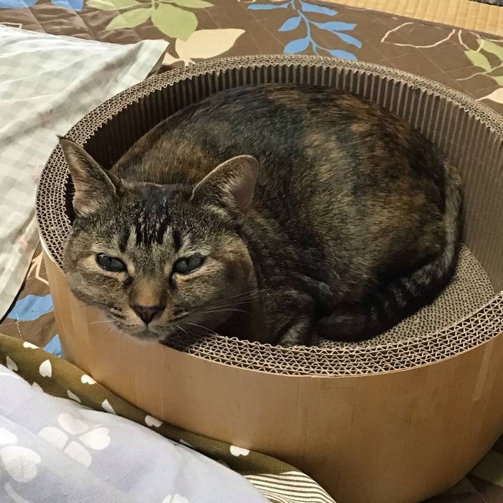 4bbb3dc1 b116 46d9 a006 c0c64911d9b2 1734847105373