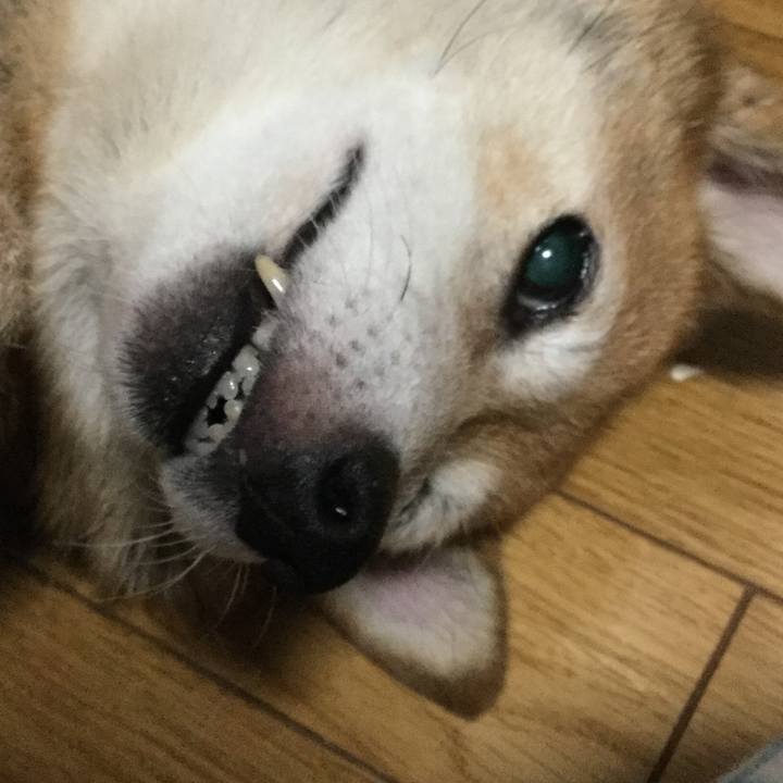 4bbb7566 b230 4277 8440 51bf06088fd2 1628254269483