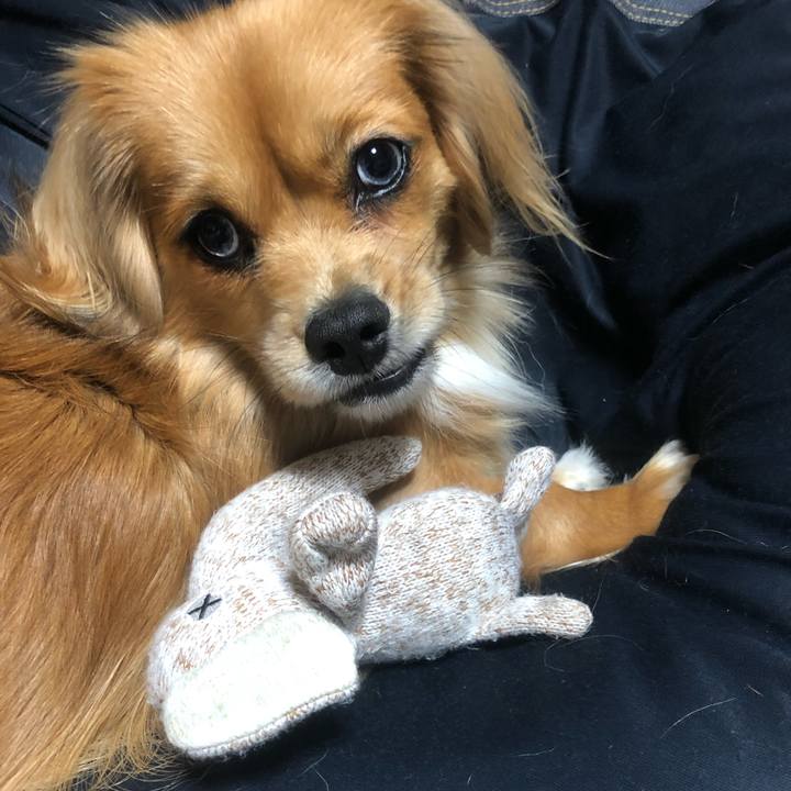 4bbba9dc 12d9 4d74 980b 96024117825f 1541938539979