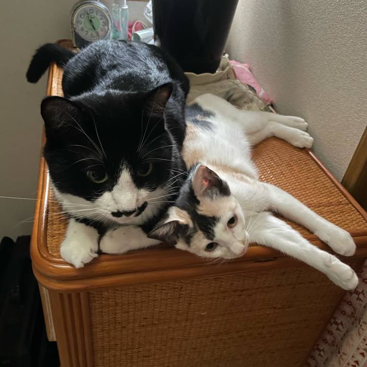 4bbbac1f 1757 4385 bf91 6c1c7881ca2c 1662592513957