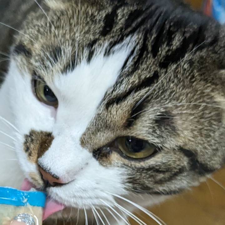 4bbbb59f c5a8 46a0 a254 e73579fed97c 1694950231771