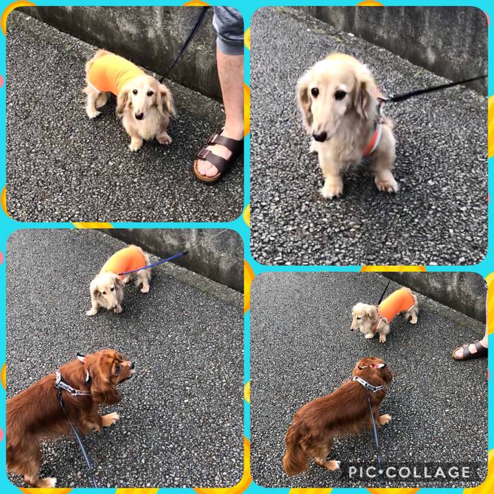 4bbbe255 b320 4b9b ab6f a24800c00316 1596326755419