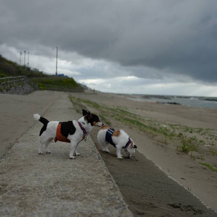 4bbbe650 5f89 40c2 96d4 6351fa5ac220 1526792530815