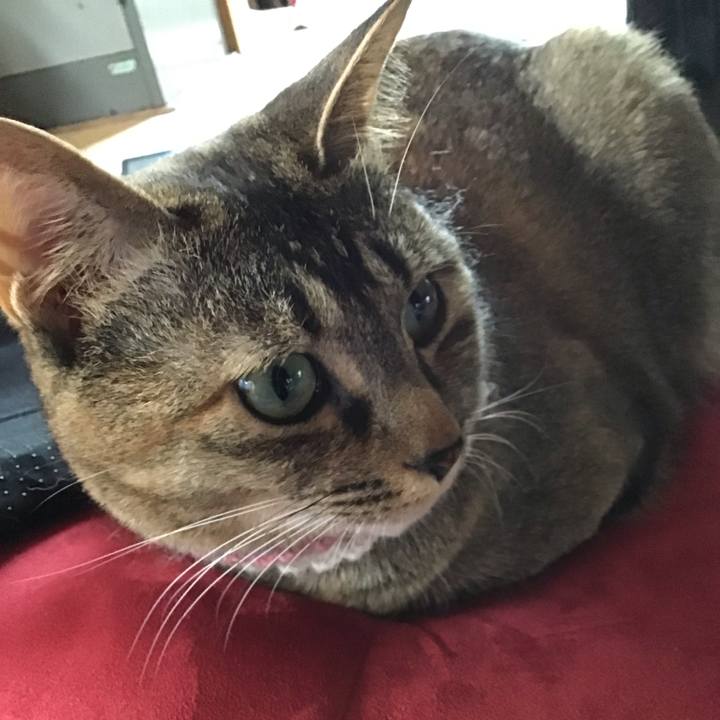 4bbc0d5a 24de 45ae 9c1c 33072512172c 1625018689378