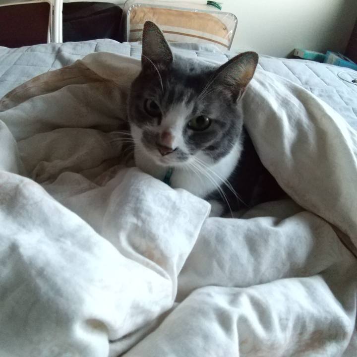 4bbc1eb7 f4a0 4a8a ac00 0cd1e193e099 1634507348926