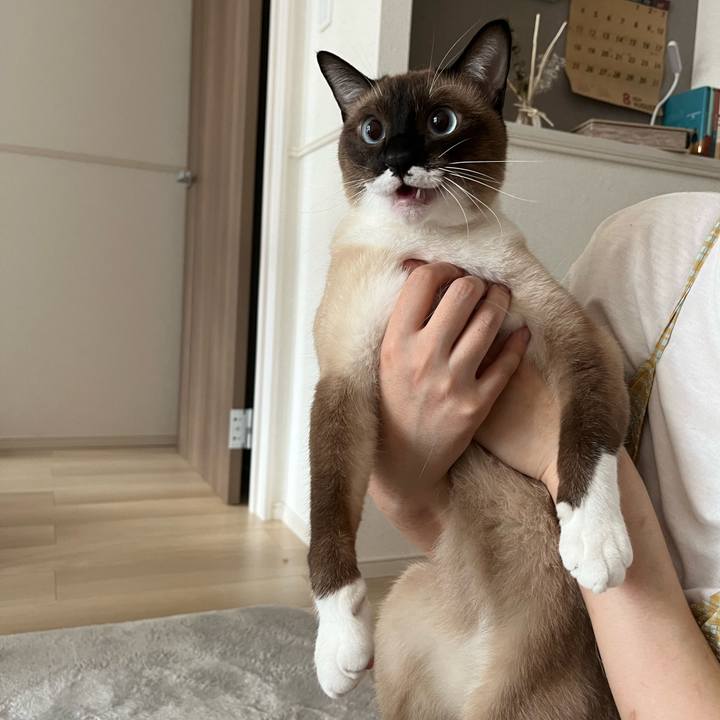 4bbc2194 a139 4e89 babc 21979ec3301d 1723858426923