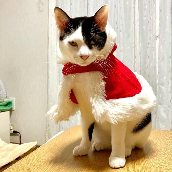 4bbc314a 6f60 436e b024 3744df893b50 1735137848170