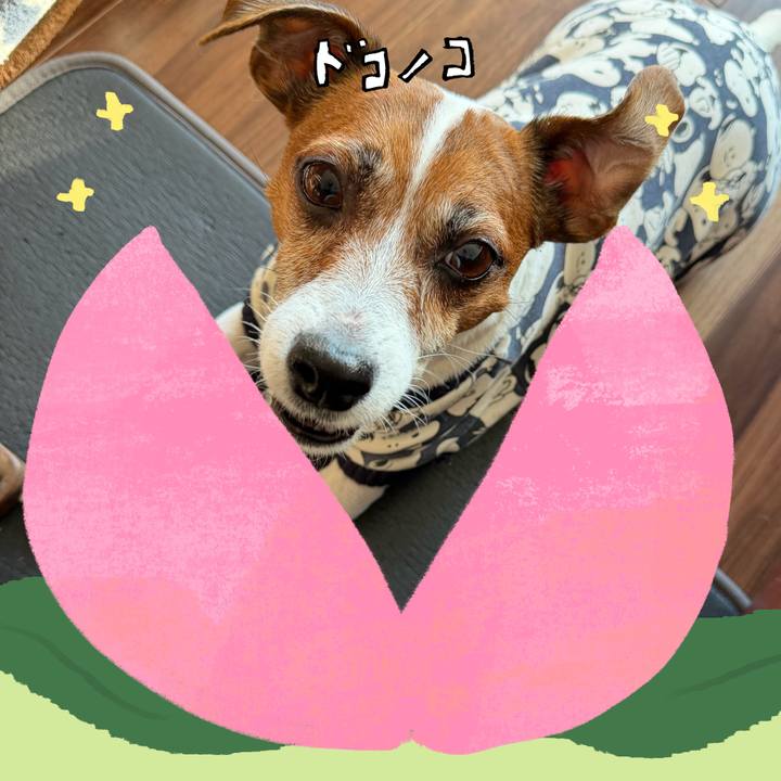 4bbc3b28 c85c 437a b0fe f95c91967240 1771896328130