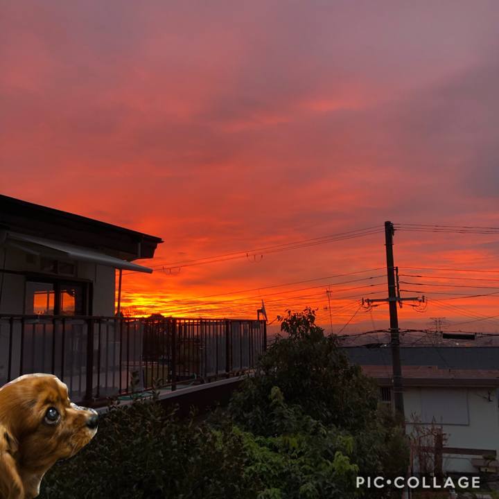 4bbc6f71 7439 483b 8556 c8d13ad6be4f 1578348818526