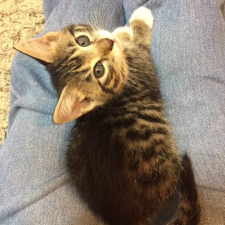 4bbd0bd4 7c1a 4f15 b3cc c39d3035c5de 1612182243478