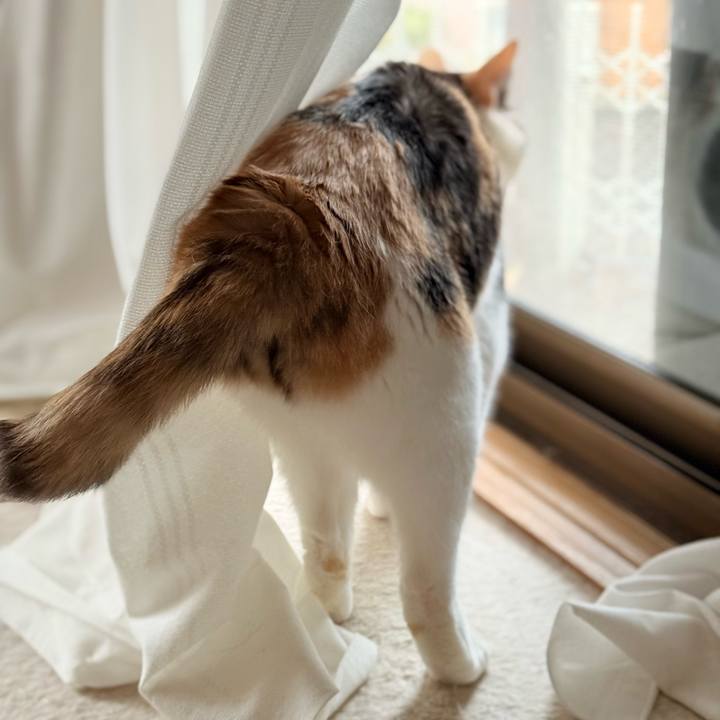 4bbd12d9 b3e4 40ae a883 eada24683086 1774230983489