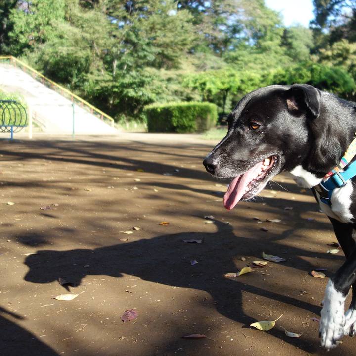 4bbd5f3e a829 491e 8f3c f28a4ca11b22 1632183134514