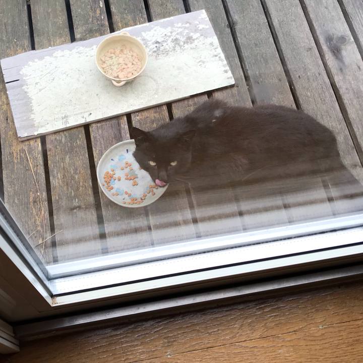 4bbd6d86 8cd2 4953 9394 0985409043a5 1595541823172