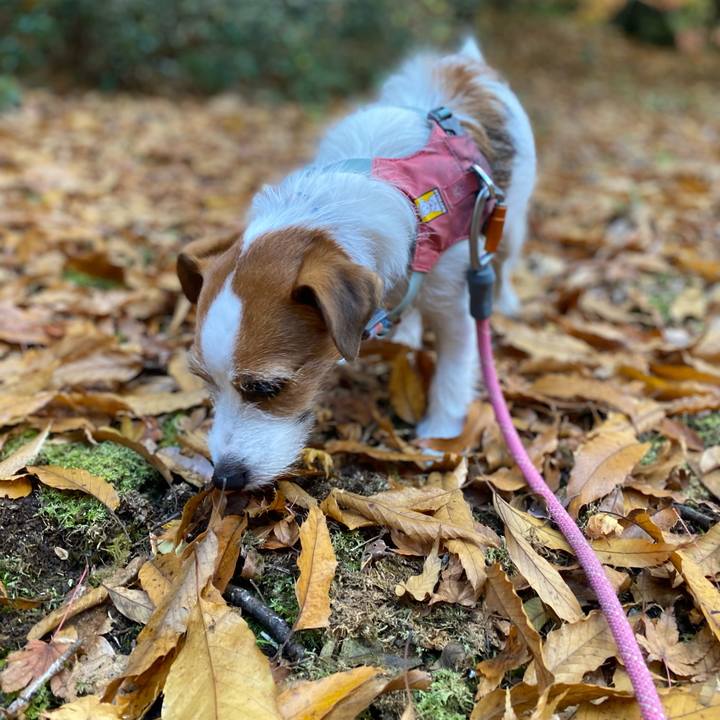 4bbd86f8 72f7 4a9a 927a acf0eed78b58 1764402329429