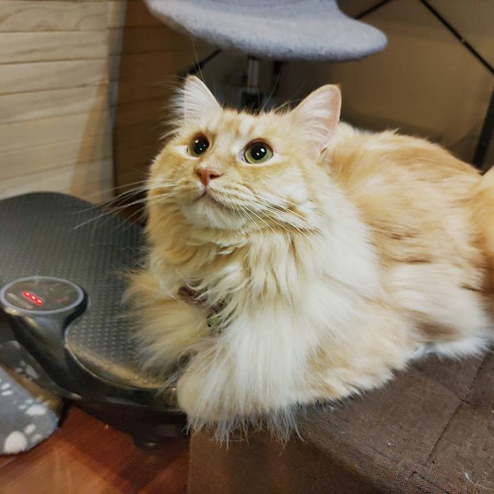 4bbdae3a b01a 4a4d b3b1 7264143374dc 1683722648116