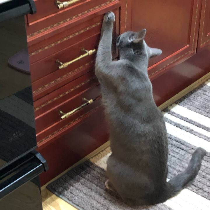 4bbdb2e0 7085 495f 93b8 ab751664dfe2 1562307937634