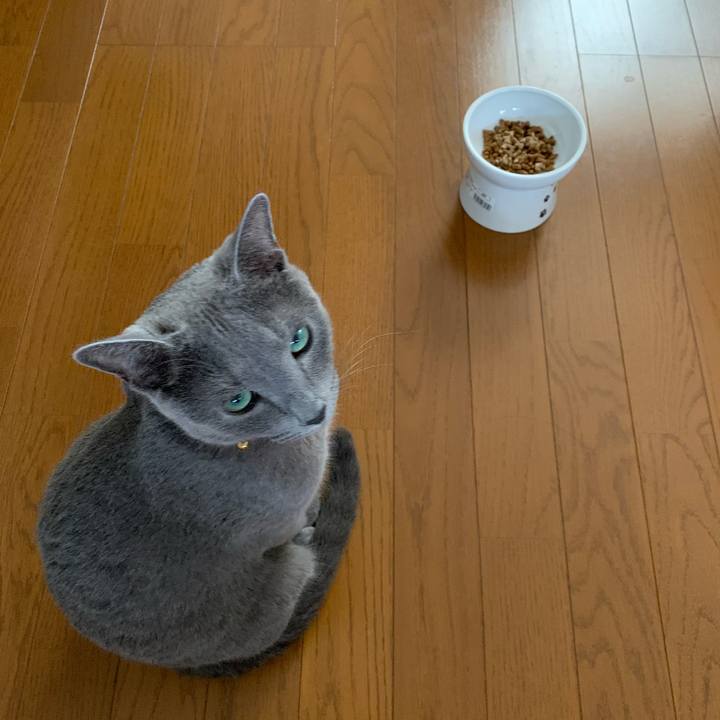 4bbdf0ba 9459 4f5b 80be c9f9c676b2ab 1629443887159