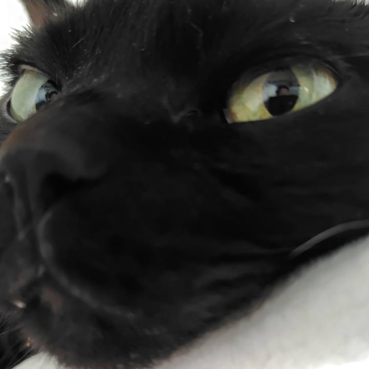 4bbdf569 981e 4db4 ad74 617e598e6dfa 1751322214115