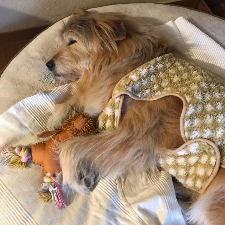 4bbe4b5d 75b2 458f 836b 37d301a0c52f 1644282771160