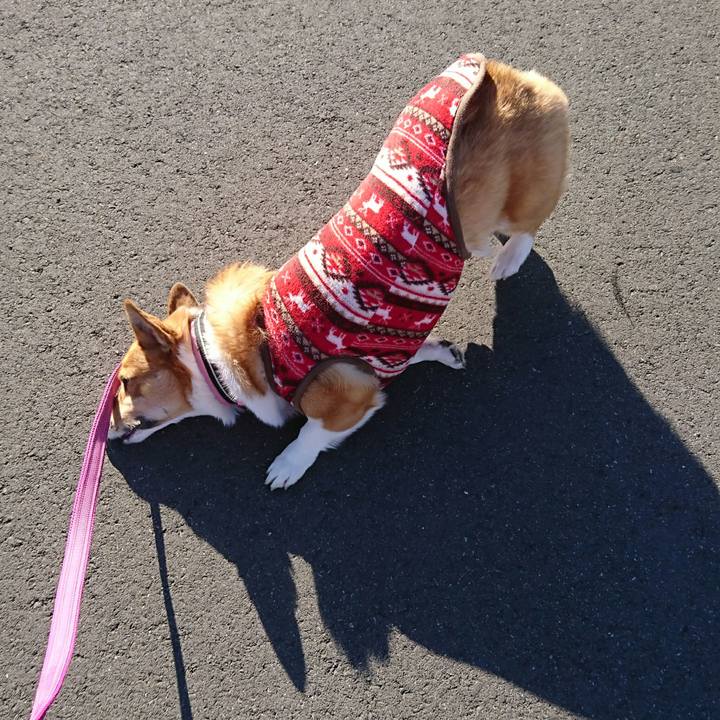 4bbe7037 7a7b 4742 97ba 3cd68defd982 1545734515156