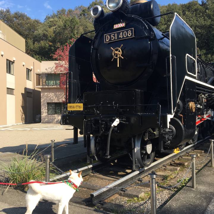 4bbe7c1d f875 4001 8e43 ba7aad439918 1541939539940