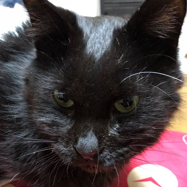 4bbeb1b8 ca1d 4211 b7d4 5db80f0e0603 1645006059119