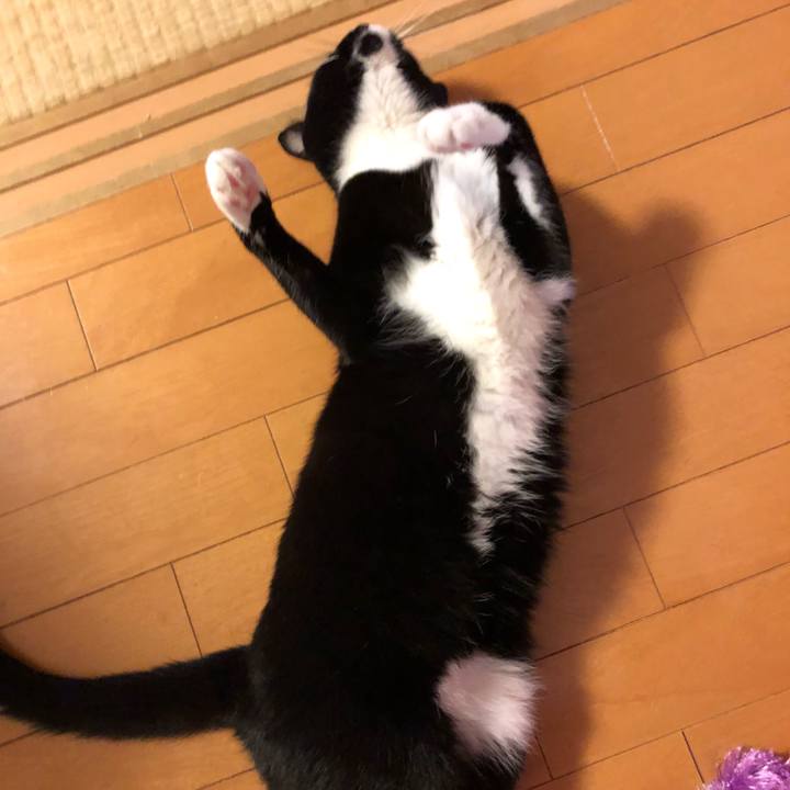 4bbece04 7d59 4db7 a3ef d49b8d74b004 1508364649818