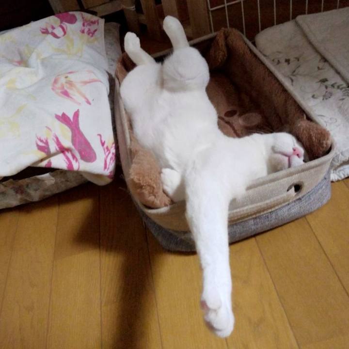 4bbed6ef 6dac 4383 a2ed 33fc669ee127 1677239494792