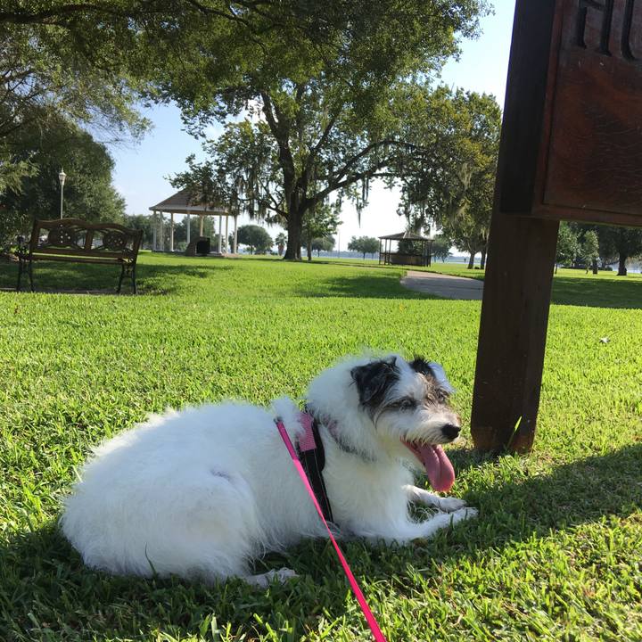 4bbf006d f66f 4879 bd0d 74e9f5ed9ae3 1570323971346