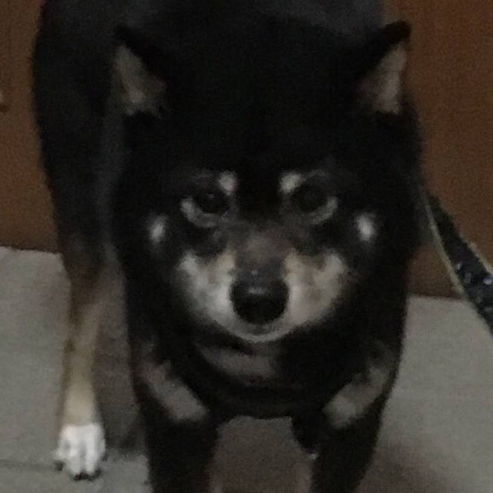 4bbf0acc 59fa 4964 bbd4 306495744f4c 1517827226728