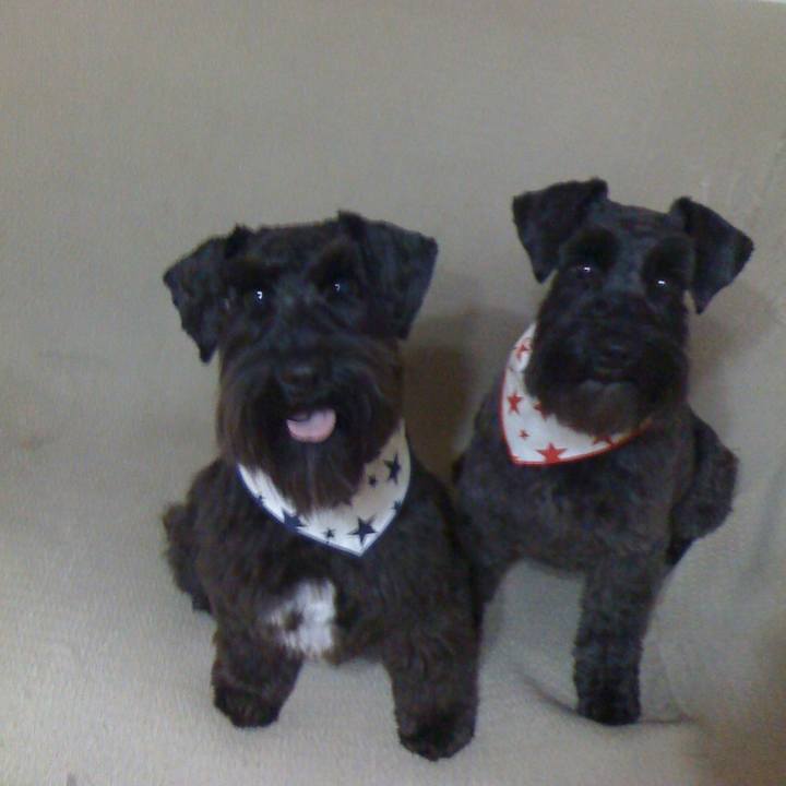 4bbf369f a33f 432d 9771 2e24282ff55b 1764157342181