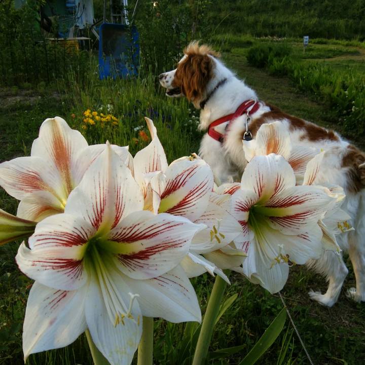 4bbf3de7 41ac 4bd5 9427 e9be1c3ee3d5 1558783911975