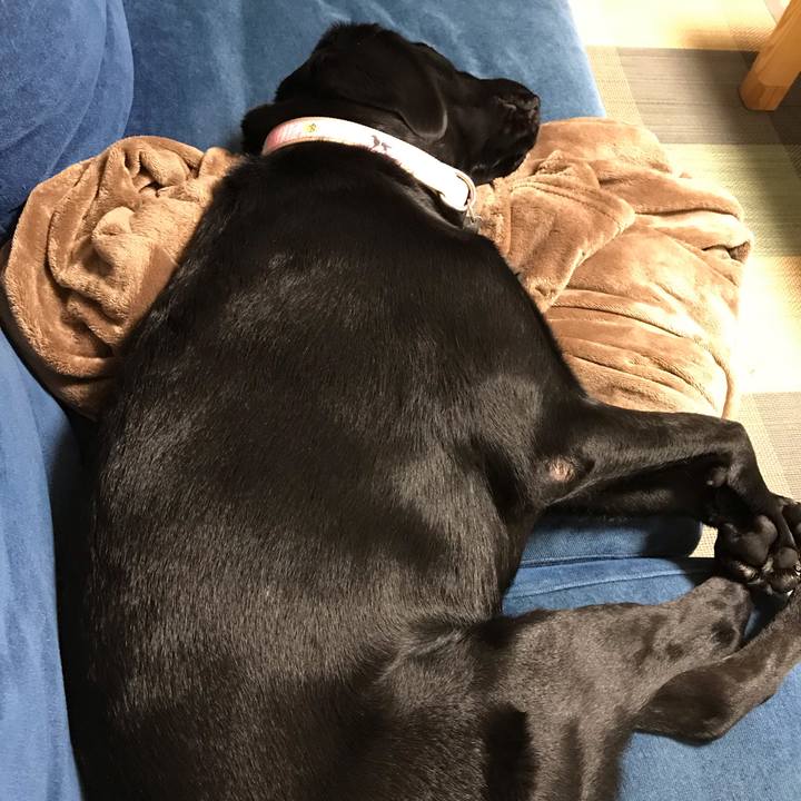 4bbf651e ec09 4efe 8452 2ffd639979ec 1566218127115