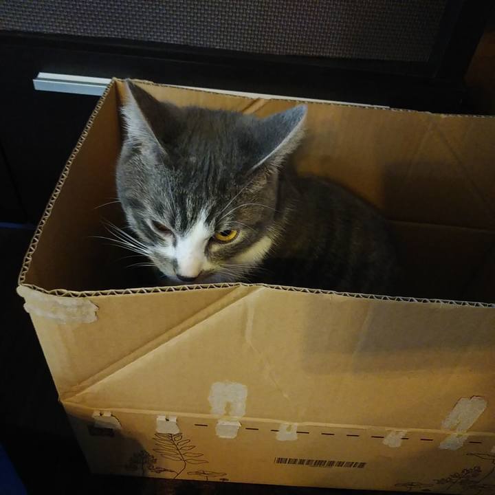 4bbf7a30 edd4 4a24 b607 52727aec64b7 1579734722276