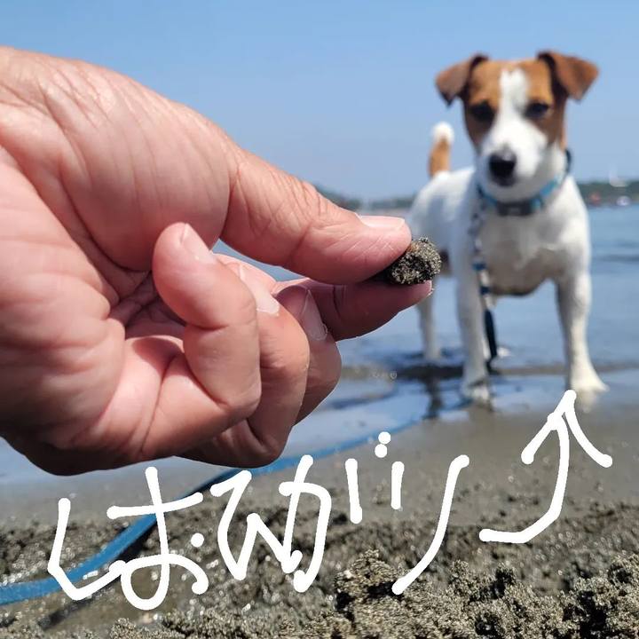 4bbf8a9c 9447 4dbd ad97 7d27135c49b1 1681965620771