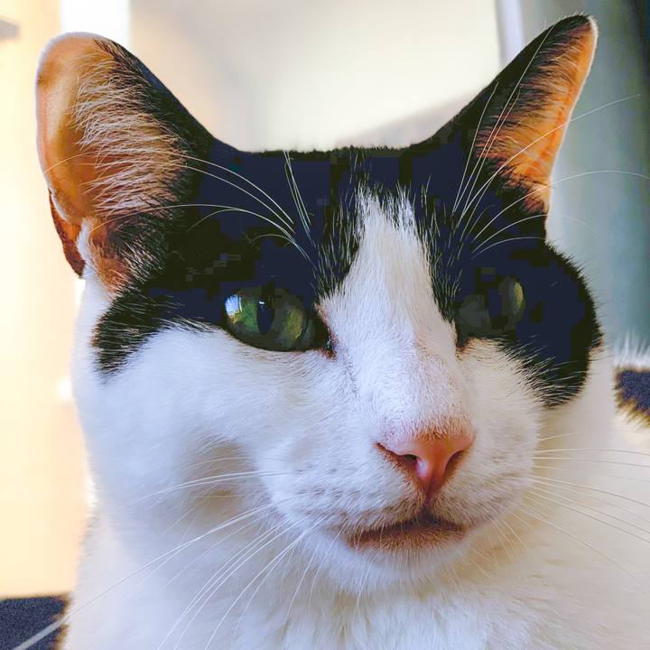 4bbfa1a7 a534 40ab a0a5 04c78cc558c6 1570499952598