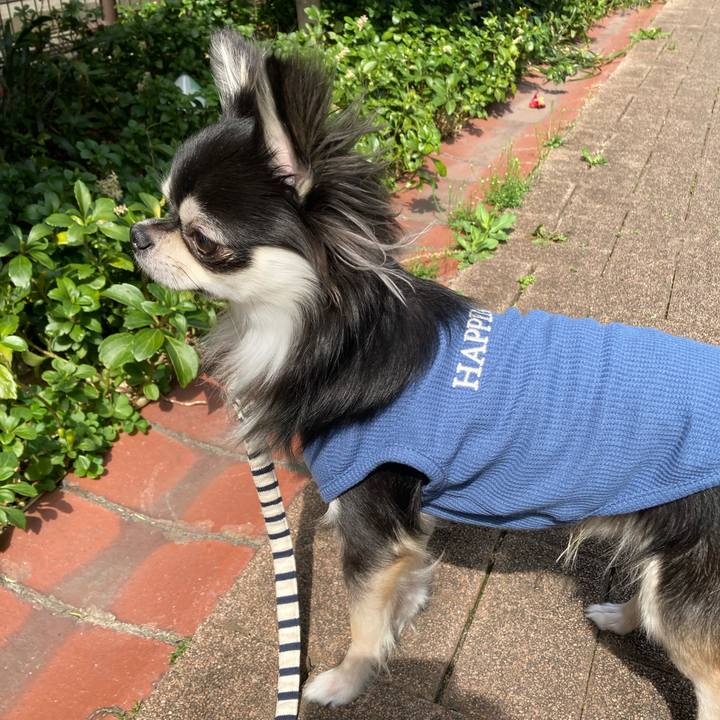 4bbfcb28 17ed 44f2 acf8 5f7e859bbb75 1616216020402