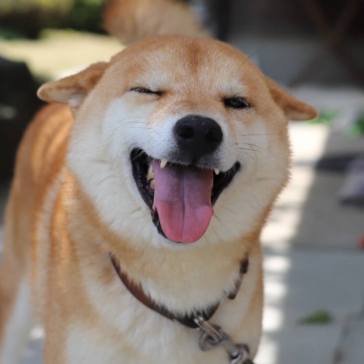 4bbfe947 d36e 4ebf 8113 c49a12909f52 1535179099998