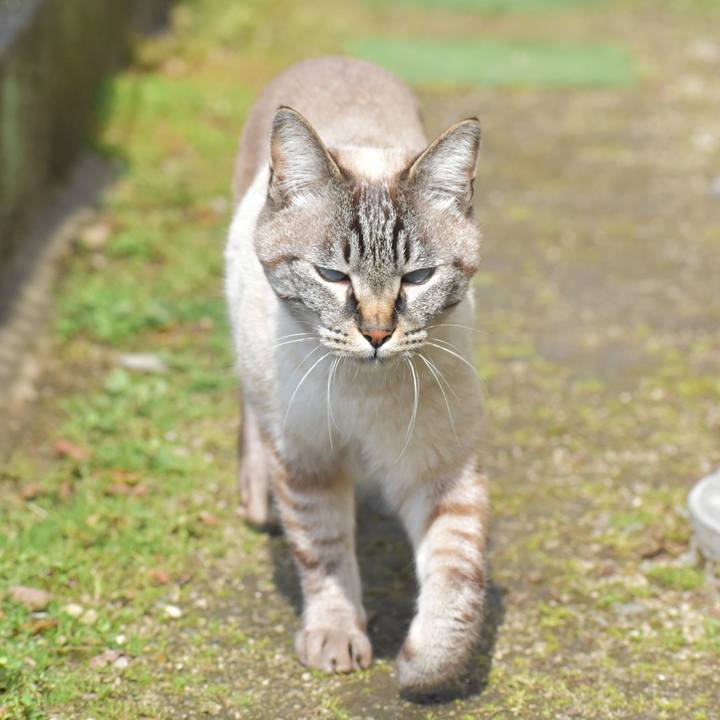 4bc011f5 7b0a 4fa3 9e68 3fb3ee0c69fb 1550376358730