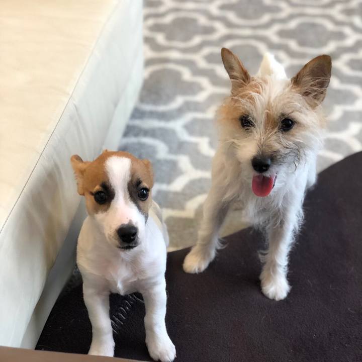 4bc05676 f98c 4417 bc13 06aaa74e169c 1547467122516