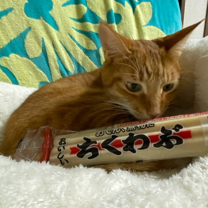 4bc0b980 834b 41e0 bbcb 62b6b26540c4 1700903102436