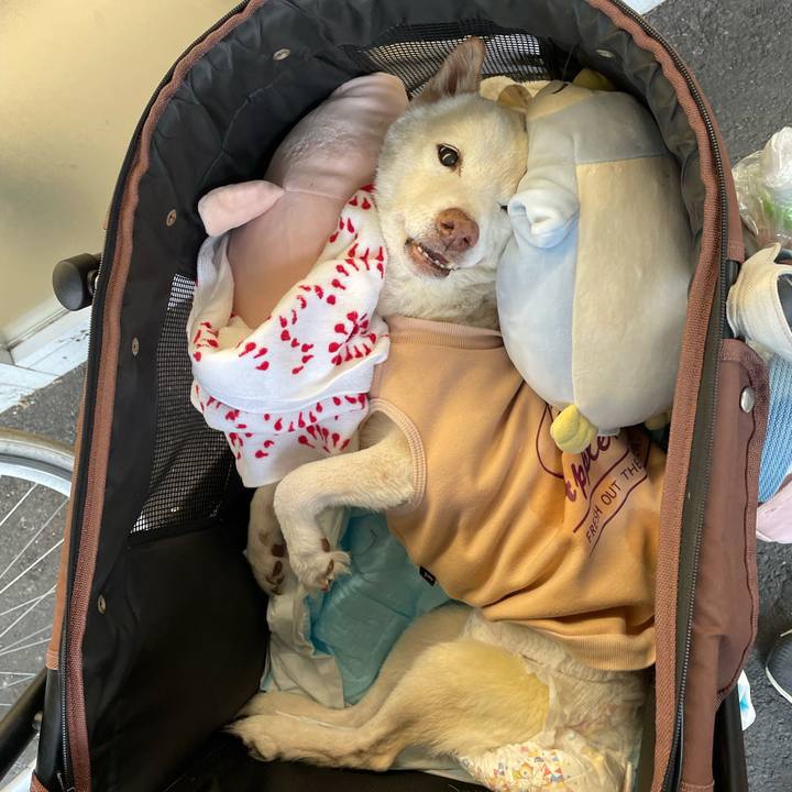 4bc0c06d d59e 460b 9d1e 78d3d88768a8 1669896426945