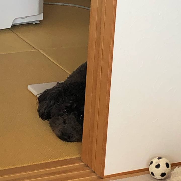 4bc0cba4 a233 4816 8cba de5ec04aa938 1583414215647