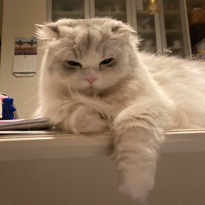 4bc0ff78 60b5 488e b580 4bcfa51a3c9f 1741870762156