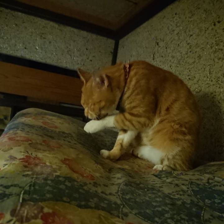 4bc12178 f54f 4a1e 9f78 019e18a3fde8 1600170425728