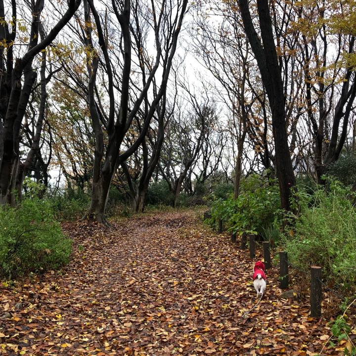 4bc13f39 191e 4d55 ba3e 73e6bdf005a4 1607814102906