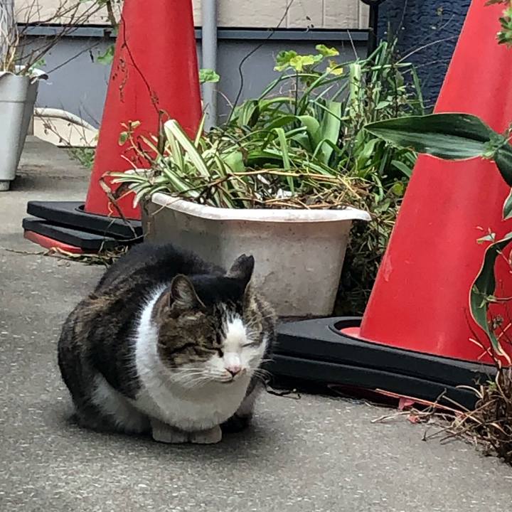 4bc1422b 8d45 40bc 8de6 0654948efdab 1551460014685