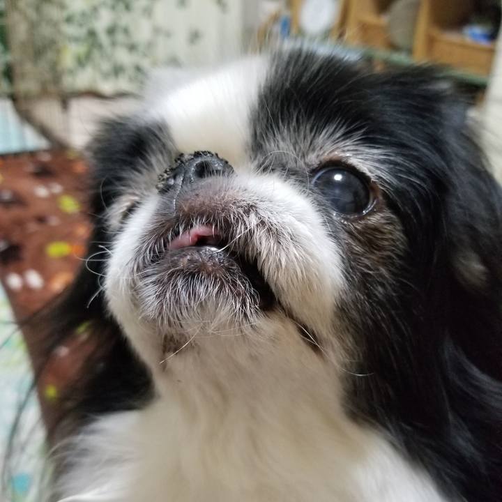 4bc1b2fd a26b 40df 99c4 f21fddd9ed37 1551003207049